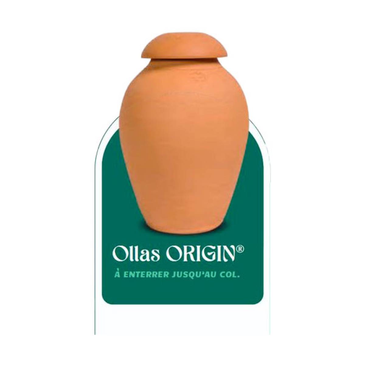 Ollas ou Oyas dans votre jardin, la solution pour éconimiser l'eau